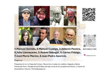 CARTELSENDANOVELADA